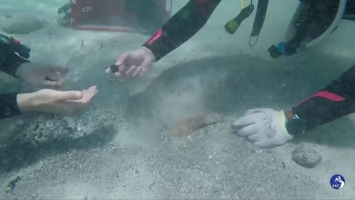 Che scoperta.  Un subacqueo ha scoperto decine di migliaia di monete del IV secolo al largo della costa della Sardegna